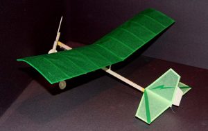 Small indoor free flight model